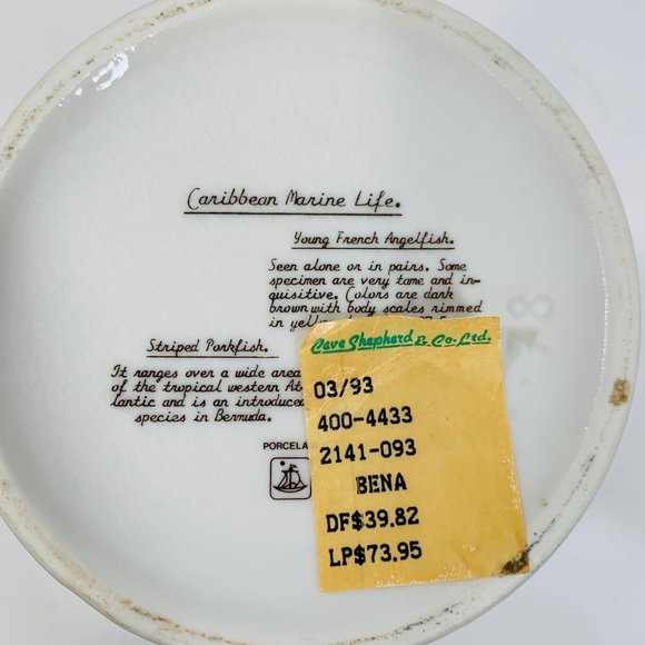 Vintage Caribbean Barbados Marine Life Porcelain Mug Angel Fish Sea Life Story - Picture 9 of 12